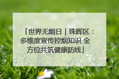 世界无烟日｜珠晖区：多维度宣传控烟知识 全方位共筑健康防线