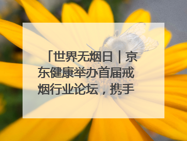 世界无烟日｜京东健康举办首届戒烟行业论坛，携手行业伙伴构建科学控烟新生态