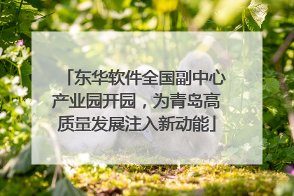 东华软件全国副中心产业园开园，为青岛高质量发展注入新动能