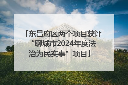 东昌府区两个项目获评“聊城市2024年度法治为民实事”项目