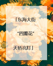 东海大街“四瓣花”天桥亮灯