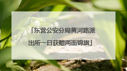 东营公安分局黄河路派出所一日获赠两面锦旗