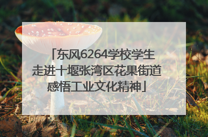 东风6264学校学生走进十堰张湾区花果街道感悟工业文化精神