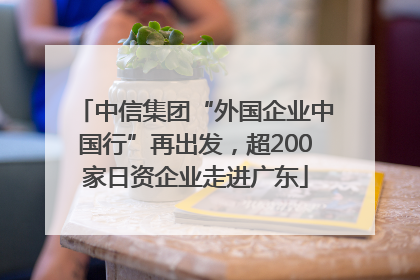 中信集团“外国企业中国行”再出发，超200家日资企业走进广东