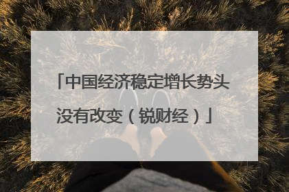 中国经济稳定增长势头没有改变（锐财经）
