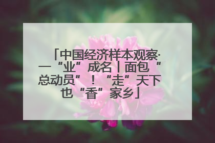 中国经济样本观察·一“业”成名丨面包“总动员”！“走”天下也“香”家乡