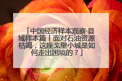 中国经济样本观察·县域样本篇丨面对石油资源枯竭，这座戈壁小城是如何走出困境的？