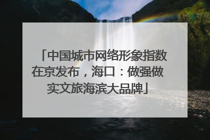 中国城市网络形象指数在京发布，海口：做强做实文旅海滨大品牌