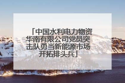 中国水利电力物资华南有限公司党员突击队勇当新能源市场开拓排头兵