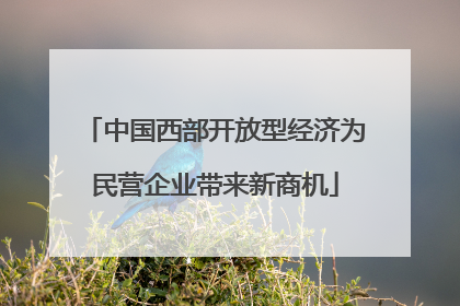 中国西部开放型经济为民营企业带来新商机