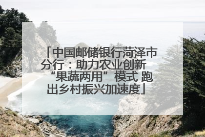 中国邮储银行菏泽市分行：助力农业创新 “果蔬两用”模式 跑出乡村振兴加速度