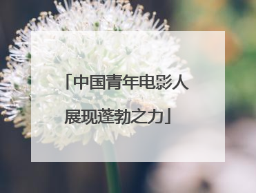 中国青年电影人展现蓬勃之力