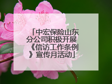 中宏保险山东分公司积极开展《信访工作条例》宣传月活动