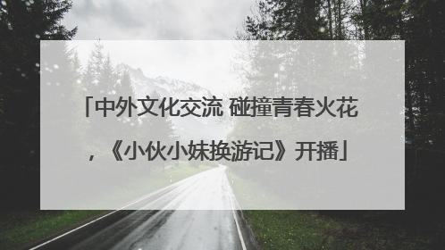 中外文化交流 碰撞青春火花，《小伙小妹换游记》开播