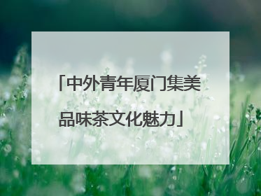 中外青年厦门集美品味茶文化魅力