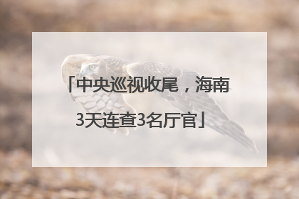 中央巡视收尾，海南3天连查3名厅官