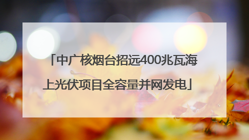 中广核烟台招远400兆瓦海上光伏项目全容量并网发电