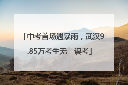 中考首场遇暴雨，武汉9.85万考生无一误考