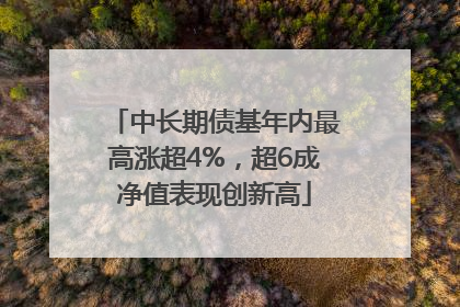 中长期债基年内最高涨超4%，超6成净值表现创新高