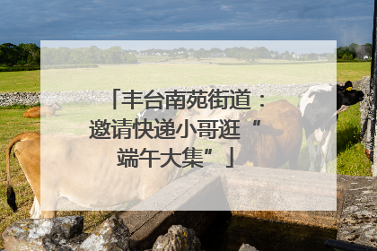 丰台南苑街道：邀请快递小哥逛“端午大集”