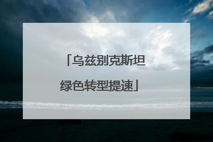 乌兹别克斯坦绿色转型提速