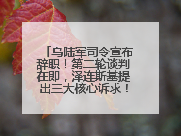 乌陆军司令宣布辞职！第二轮谈判在即，泽连斯基提出三大核心诉求！乌方透露摧毁41架俄战略轰炸机