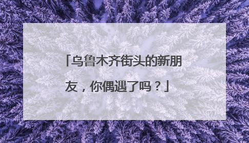 乌鲁木齐街头的新朋友，你偶遇了吗？