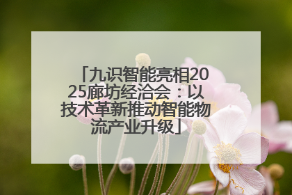 九识智能亮相2025廊坊经洽会：以技术革新推动智能物流产业升级