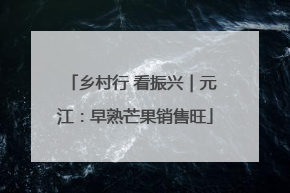乡村行 看振兴｜元江：早熟芒果销售旺