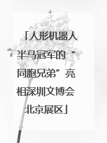 人形机器人半马冠军的“同胞兄弟”亮相深圳文博会北京展区