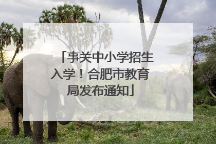 事关中小学招生入学！合肥市教育局发布通知