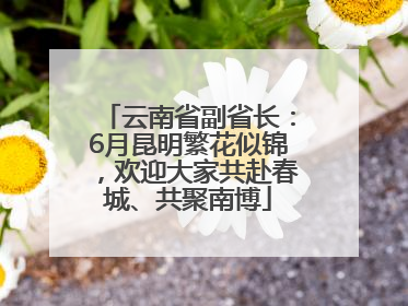 云南省副省长：6月昆明繁花似锦，欢迎大家共赴春城、共聚南博