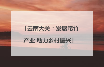 云南大关：发展筇竹产业 助力乡村振兴