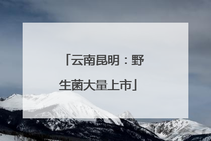 云南昆明：野生菌大量上市
