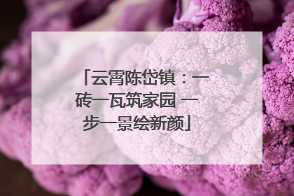 云霄陈岱镇：一砖一瓦筑家园 一步一景绘新颜