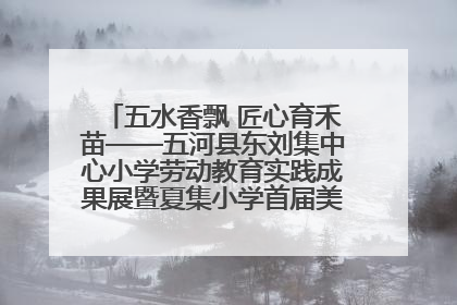 五水香飘 匠心育禾苗——五河县东刘集中心小学劳动教育实践成果展暨夏集小学首届美食节盛大举行