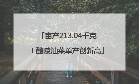 亩产213.04千克！醴陵油菜单产创新高