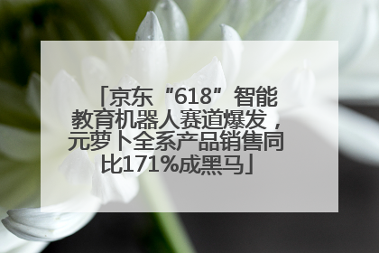 京东“618”智能教育机器人赛道爆发，元萝卜全系产品销售同比171%成黑马