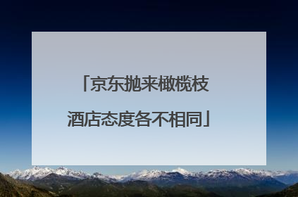 京东抛来橄榄枝 酒店态度各不相同