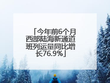 今年前6个月西部陆海新通道班列运量同比增长76.9%