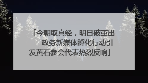 今朝取真经，明日破茧出——政务新媒体孵化行动引发黄石参会代表热烈反响
