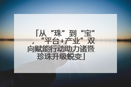 从“珠”到“宝”，“平台+产业”双向赋能行动助力诸暨珍珠升级蜕变