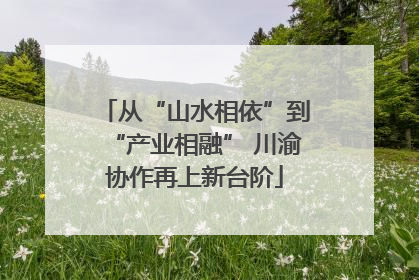 从“山水相依”到“产业相融” 川渝协作再上新台阶