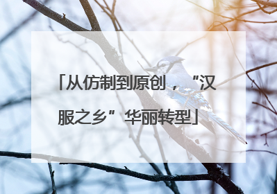 从仿制到原创，“汉服之乡”华丽转型