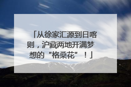 从徐家汇源到日喀则，沪藏两地开满梦想的“格桑花”！