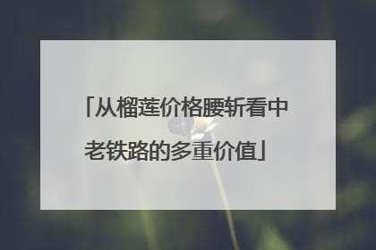 从榴莲价格腰斩看中老铁路的多重价值