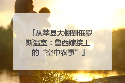 从莘县大棚到俄罗斯温室：鲁西嫁接工的“空中农事”
