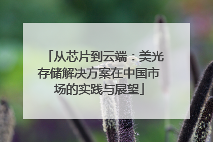 从芯片到云端：美光存储解决方案在中国市场的实践与展望