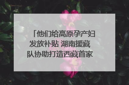 他们给高原孕产妇发放补贴 湖南援藏队协助打造西藏首家高原产儿协同中心