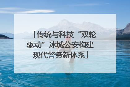 传统与科技“双轮驱动”冰城公安构建现代警务新体系